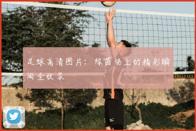 足球高清图片：绿茵场上的精彩瞬间全收录