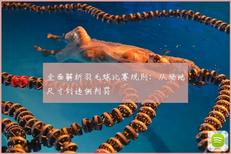 全面解析羽毛球比赛规则:从场地尺寸到违例判罚