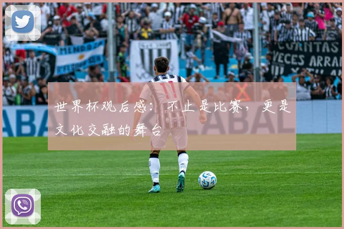 世界杯观后感：不止是比赛，更是文化交融的舞台