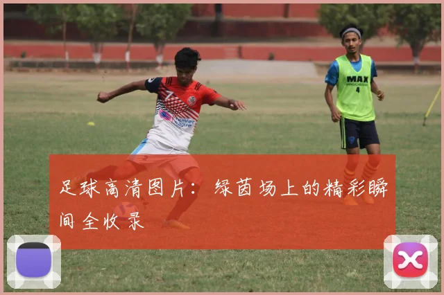 足球高清图片：绿茵场上的精彩瞬间全收录