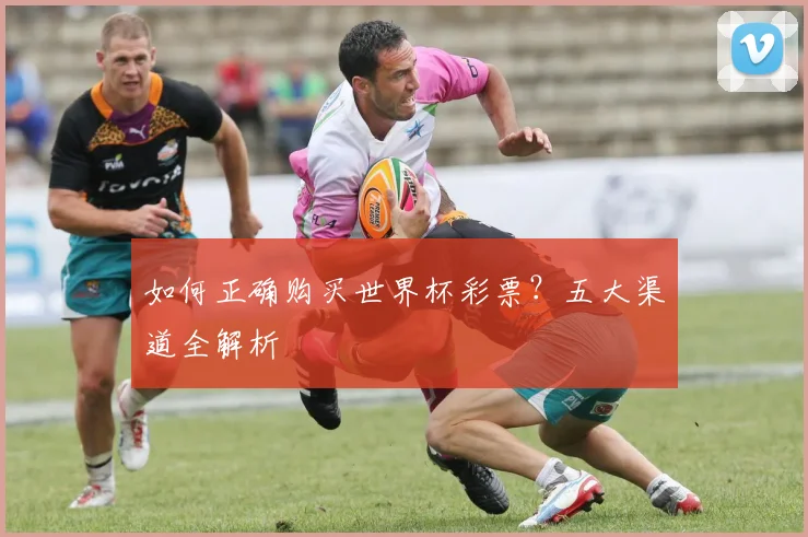 如何正确购买世界杯彩票？五大渠道全解析
